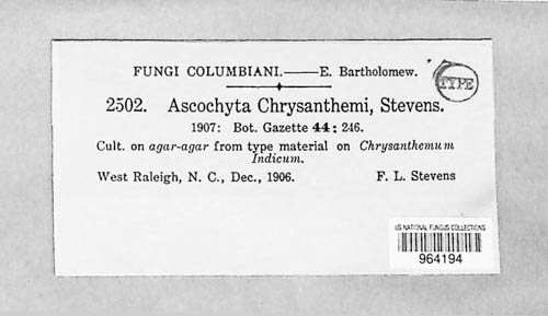Stagonosporopsis chrysanthemi image